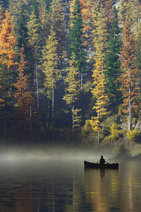 Calm Morning Boat Man (1280x2120) Resolution Wallpaper