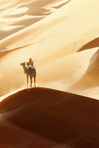 Camel And Memories In Dunes (800x1280) Resolution Wallpaper