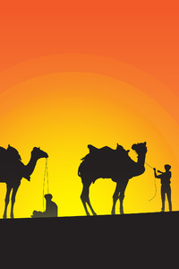 Camel Leaders Silhouette (240x320) Resolution Wallpaper