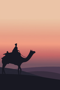 320x568 Camel Sahara Desert Minimal 5k
