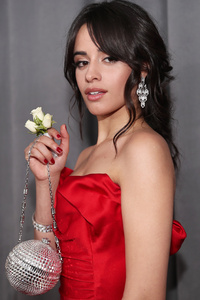 Camila Cabello At Grammy Awards (1125x2436) Resolution Wallpaper