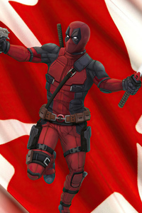 320x568 Canadian Deadpool 4k