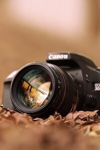 Canon EOS 3D (540x960) Resolution Wallpaper