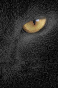 720x1280 Cat Abstract Art Background