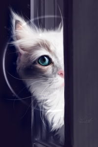 Cat Behind Green Eyes (480x854) Resolution Wallpaper