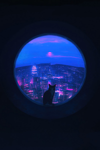 Cat Blue Portal 4k (1080x1920) Resolution Wallpaper
