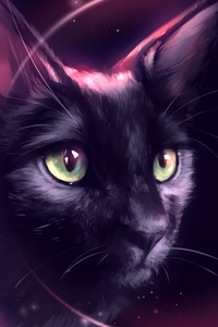 Cat Eclipse (640x960) Resolution Wallpaper