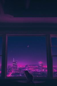 480x854 Cat Gazes Through The Window Into A World Of Big Synthwave