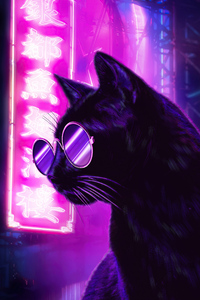 Cat Glasses Neon Purple Nights 4k