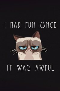 Cat Humour Funny Quote (1280x2120) Resolution Wallpaper