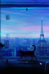 Cat Lonely Night 4k (240x320) Resolution Wallpaper
