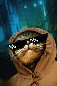 Cat Thug Life (1080x1920) Resolution Wallpaper
