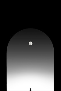 Cat Watching Moon 4k (480x854) Resolution Wallpaper