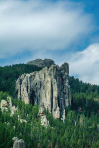 Cathedral Spires From The Needles Highway In Custer State Park (1080x2160) Resolution Wallpaper