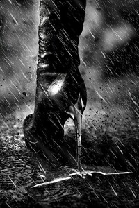 Catwoman Black Heels (720x1280) Resolution Wallpaper