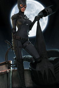 Catwoman Digital Art (240x400) Resolution Wallpaper
