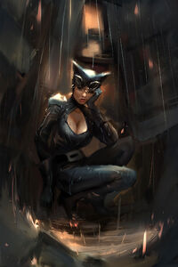 Catwoman In Rain (1440x2560) Resolution Wallpaper