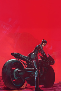 Catwoman On Bike Chase (750x1334) Resolution Wallpaper