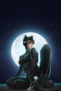 Catwoman Signature Style (240x400) Resolution Wallpaper