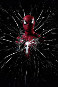 Caught In The Venomous Grasp Spider Man 2 (320x480) Resolution Wallpaper