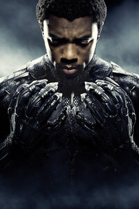 Chadwick Boseman As Black Panther 5k (640x960) Resolution Wallpaper