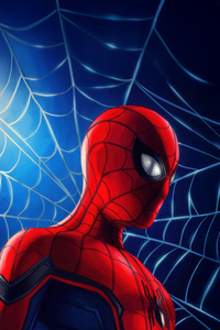Champion Spiderman (1080x2400) Resolution Wallpaper
