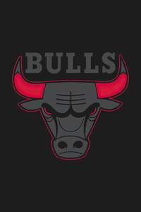 1125x2436 Chicago Bulls Logo