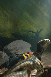 Chris Pratt And Little Raptor Jurassic World Fallen Kingdom 5k