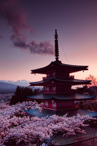 1080x2280 Churei Tower Mount Fuji In Japan 8k