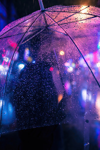 Closeup Umbrella Neon Night Photography 4k