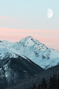 Cold Daylight Mountains Landscape 4k (1440x2960) Resolution Wallpaper