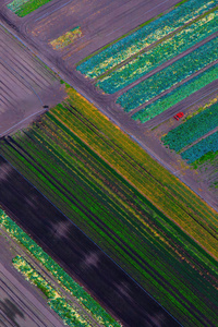 Colorful Fields Aerial View (2160x3840) Resolution Wallpaper