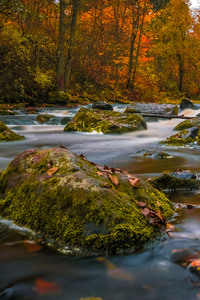 Colors Of Autumn (640x1136) Resolution Wallpaper