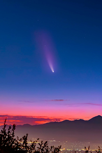 1440x2960 Comet Neowise Over Orange County