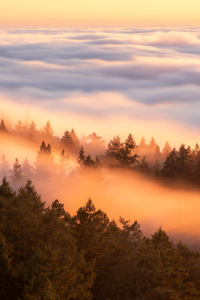Crazy Fog Flow At Sunset (320x480) Resolution Wallpaper