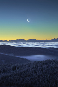 Crescent Moon Black Forest Germany (1080x2160) Resolution Wallpaper