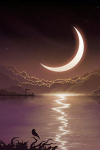 Crescent Moon Minimal Night 4k (800x1280) Resolution Wallpaper