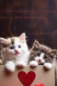 Cute Kitties Cozy In A Heart Box (1080x1920) Resolution Wallpaper