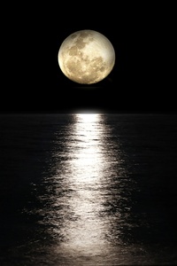 Dark Night Moon Reflection In Sea 5k (1440x2560) Resolution Wallpaper