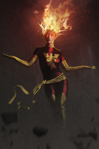 Dark Phoenix In Flames 4k (540x960) Resolution Wallpaper