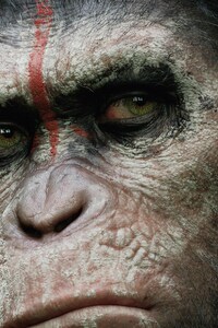 Dawn of the Planet of the Apes HD (320x568) Resolution Wallpaper