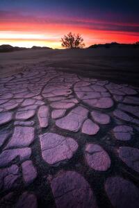 Death Valley Mud Crack Lone Tree 4k