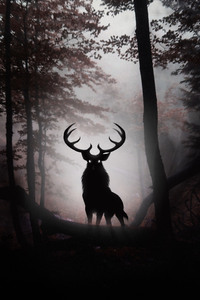 Deer Fantasy Artwork 4k