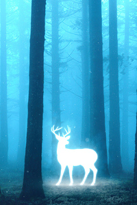 Deer In Magical Forest (240x400) Resolution Wallpaper
