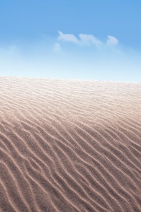 Desert Dune Wave
