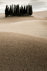 Desert Landscape 5k