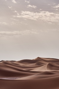 Desert Landscape Morning 4k