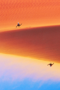 Desert Man Camel Safari