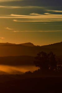 Desert Morning Mist 5k