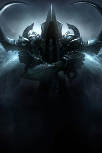 Diablo Reaper Of Souls (800x1280) Resolution Wallpaper